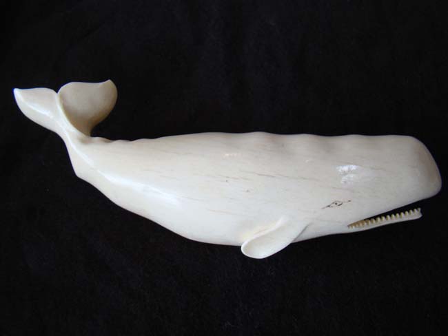 A carved ivory sperm whale attributed to Aletha Macy of Nantucket